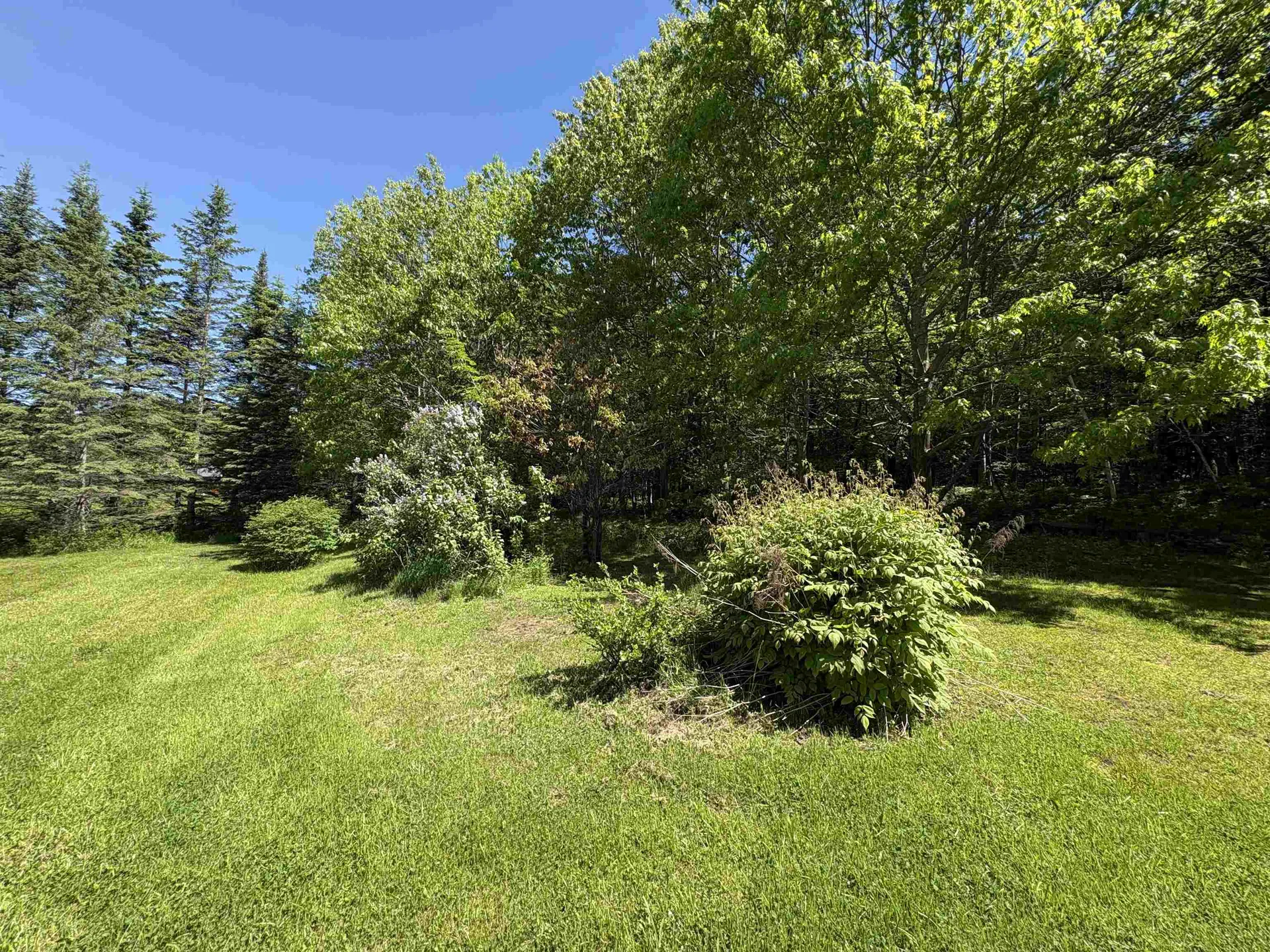 150 Willoughby Lake Road Brownington VT 05860