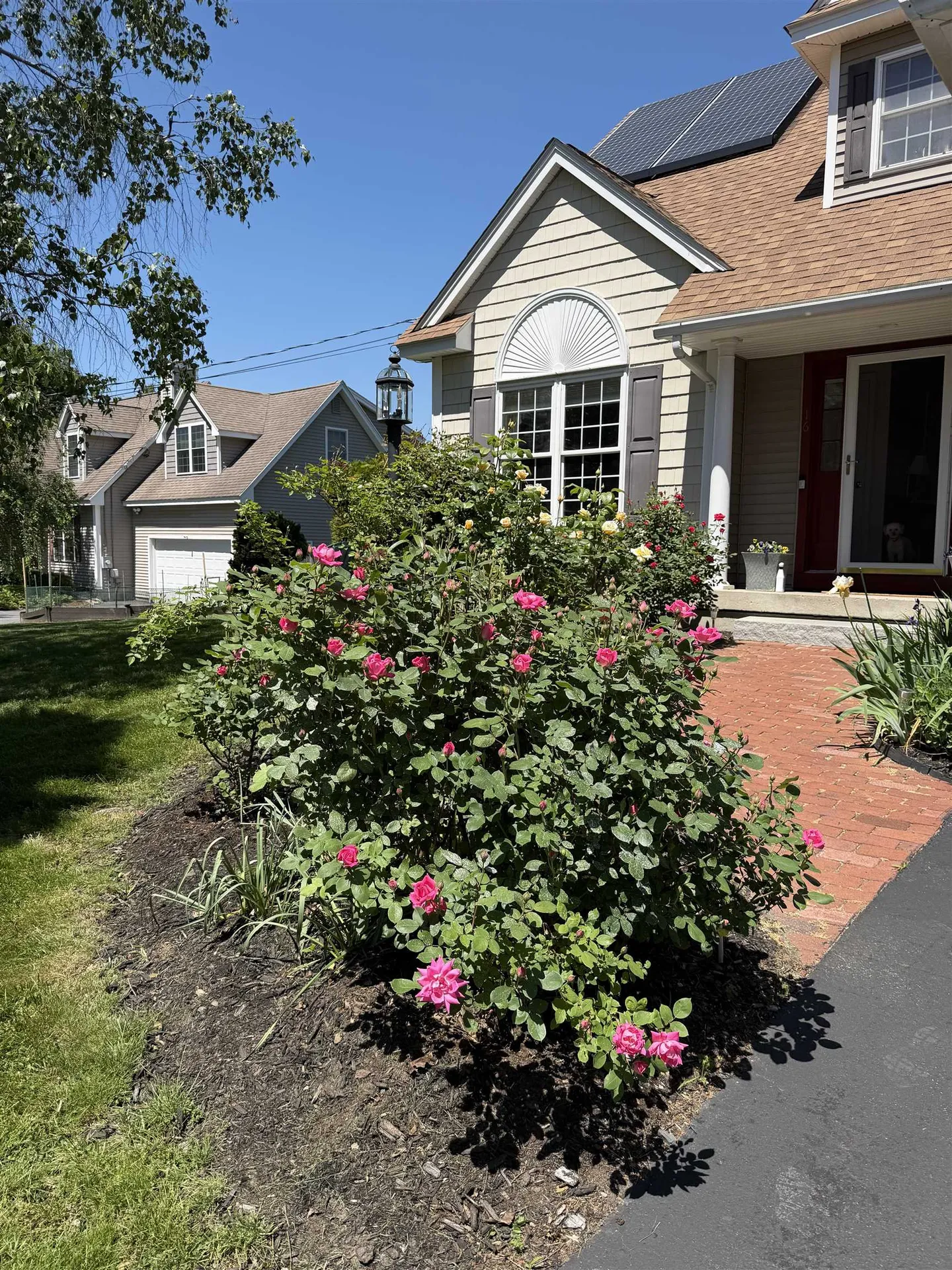 16 Dunlin Way Portsmouth NH 03801