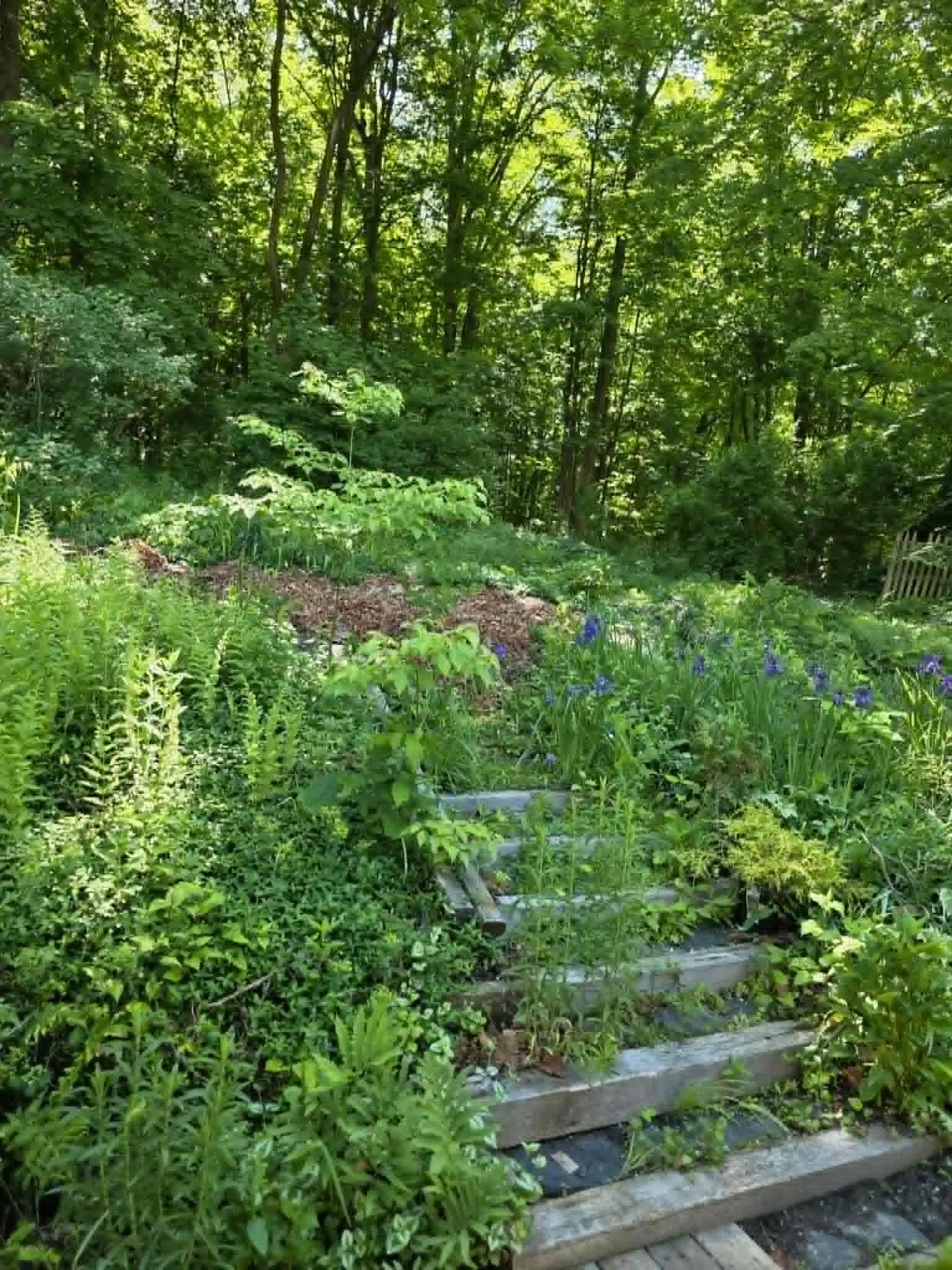 65 Cedar Street Brattleboro VT 05301
