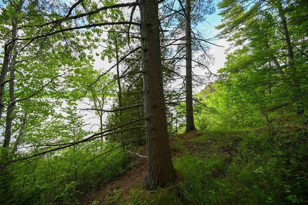 185 Holmes Lane Shoreham VT 05770