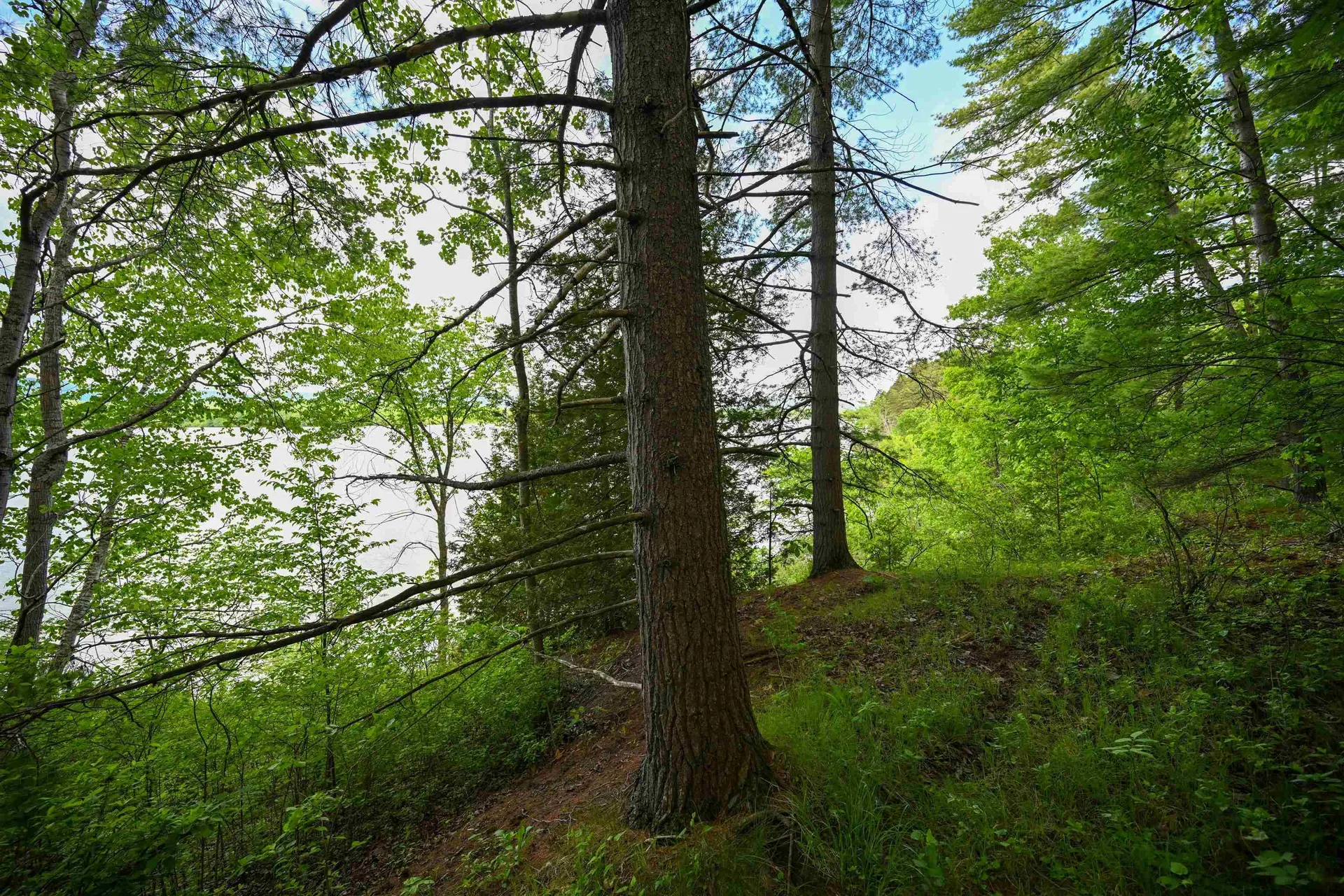 185 Holmes Lane Shoreham VT 05770
