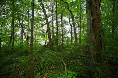 185 Holmes Lane Shoreham VT 05770