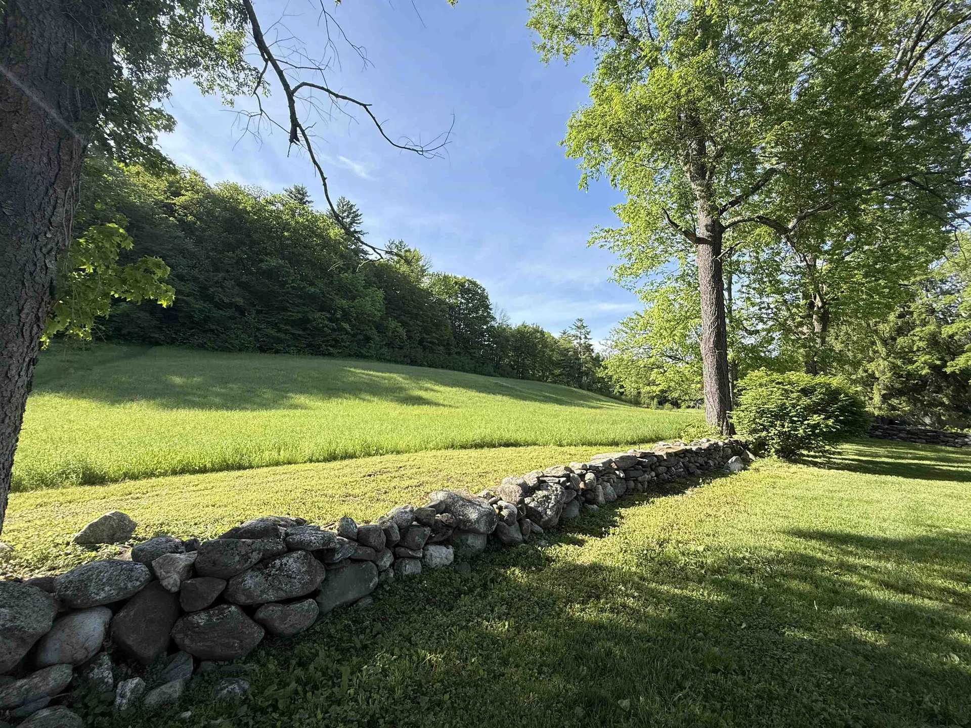 170 Townshend Road Grafton VT 05146