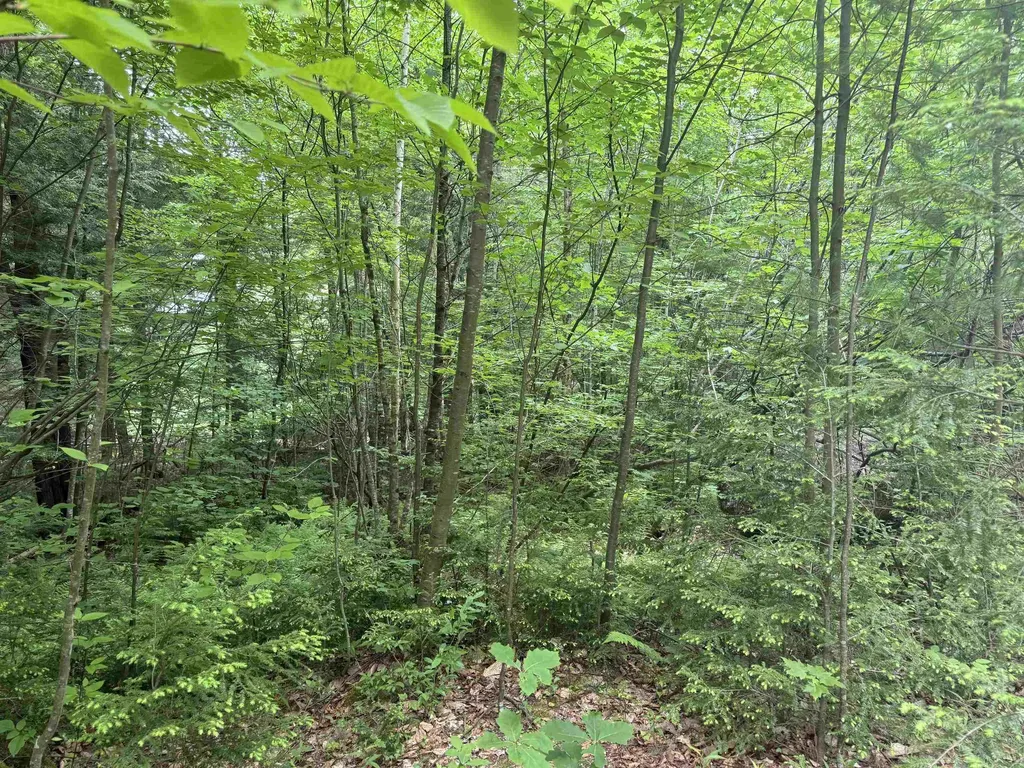 44 Huntington Drive Hillsborough NH 03244