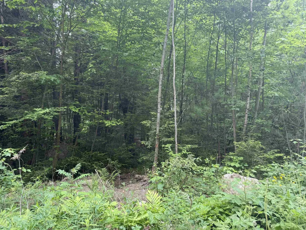 44 Huntington Drive Hillsborough NH 03244