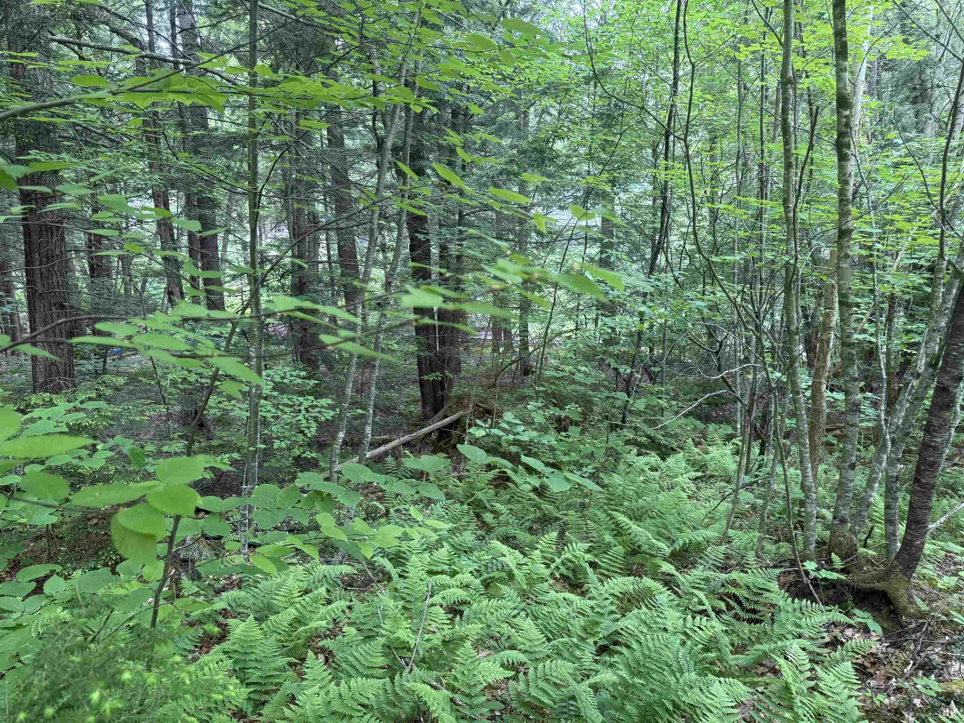 44 Huntington Drive Hillsborough NH 03244
