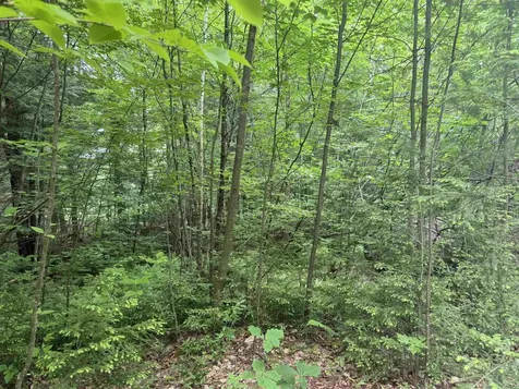 44 Huntington Drive Hillsborough NH 03244