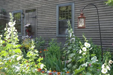 447 Rock Bottom Lane Peru VT 05255