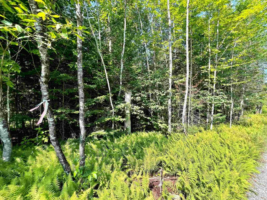 501 Martins Pond Lane Peacham VT 05862