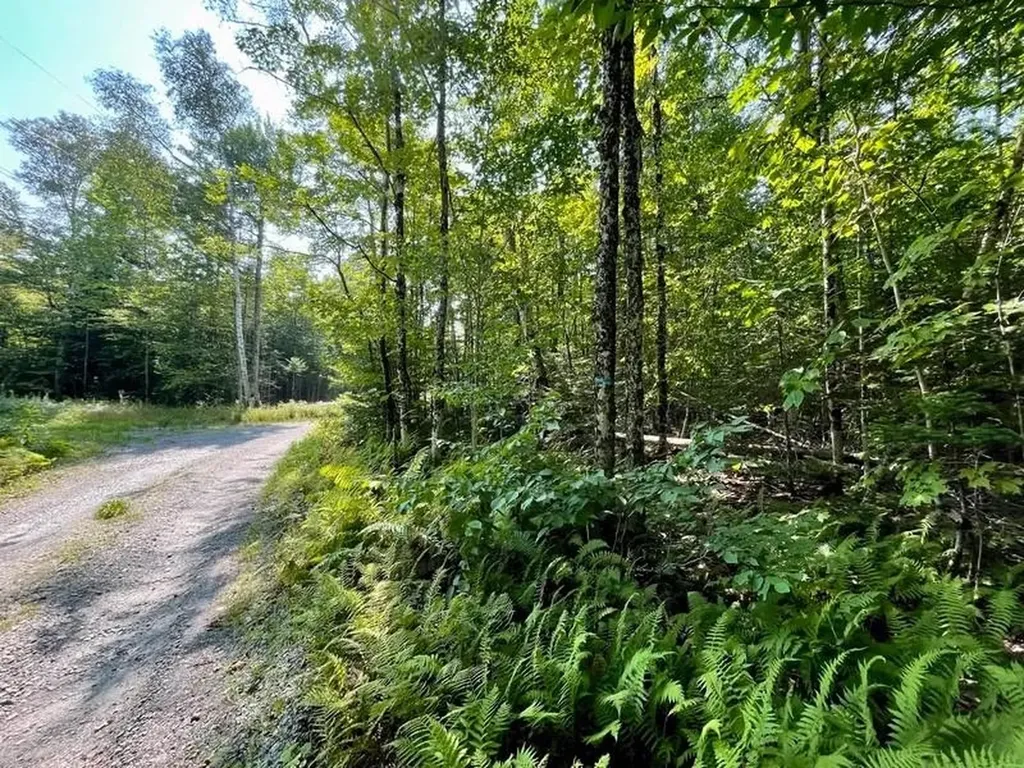 501 Martins Pond Lane Peacham VT 05862