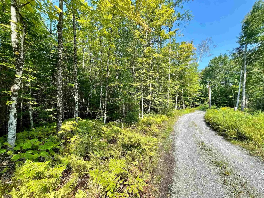 501 Martins Pond Lane Peacham VT 05862