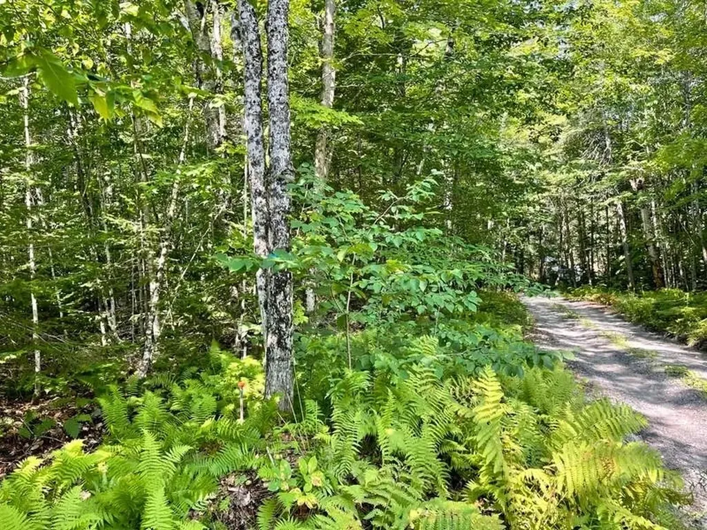 501 Martins Pond Lane Peacham VT 05862