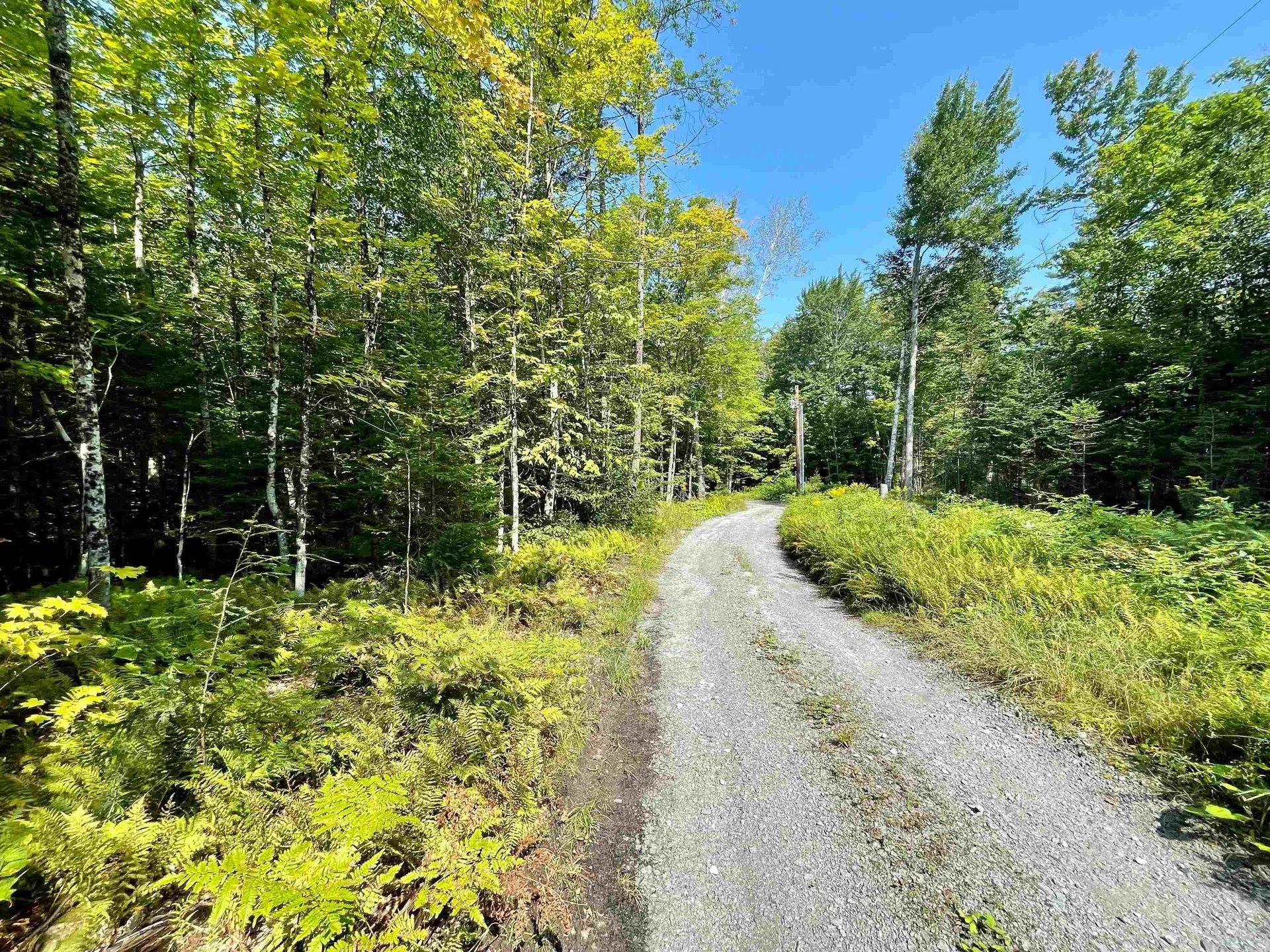 501 Martins Pond Lane Peacham VT 05862