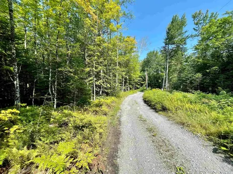 501 Martins Pond Lane Peacham VT 05862