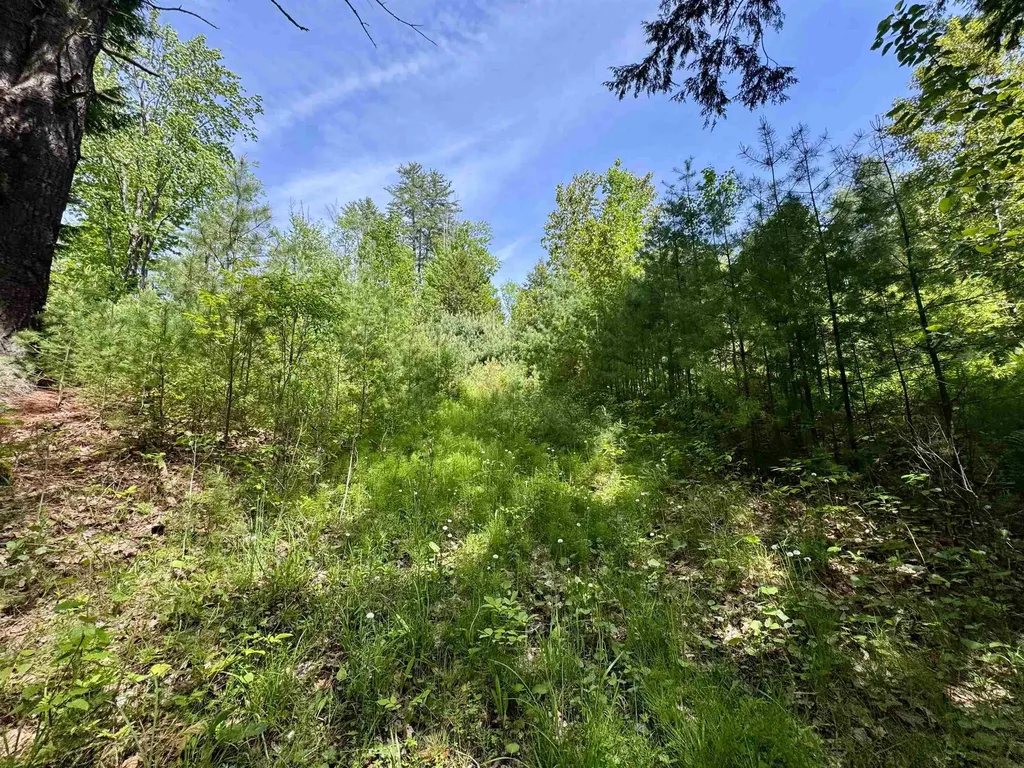 00 Mink Hill Road Bradford VT 05033