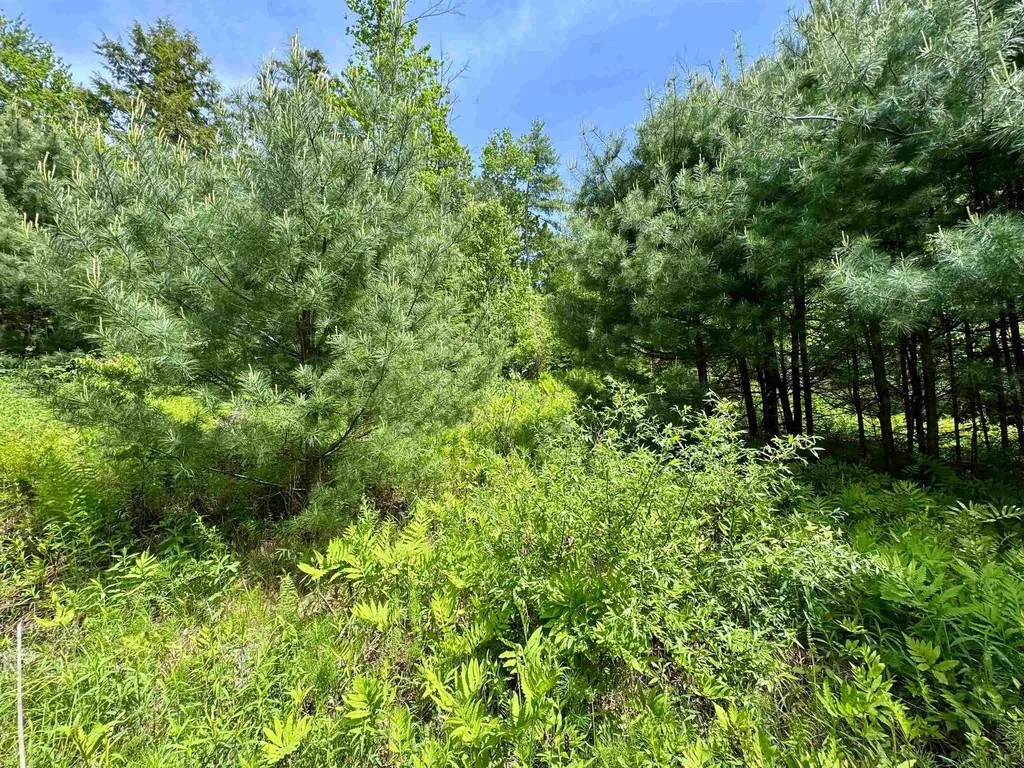 00 Mink Hill Road Bradford VT 05033