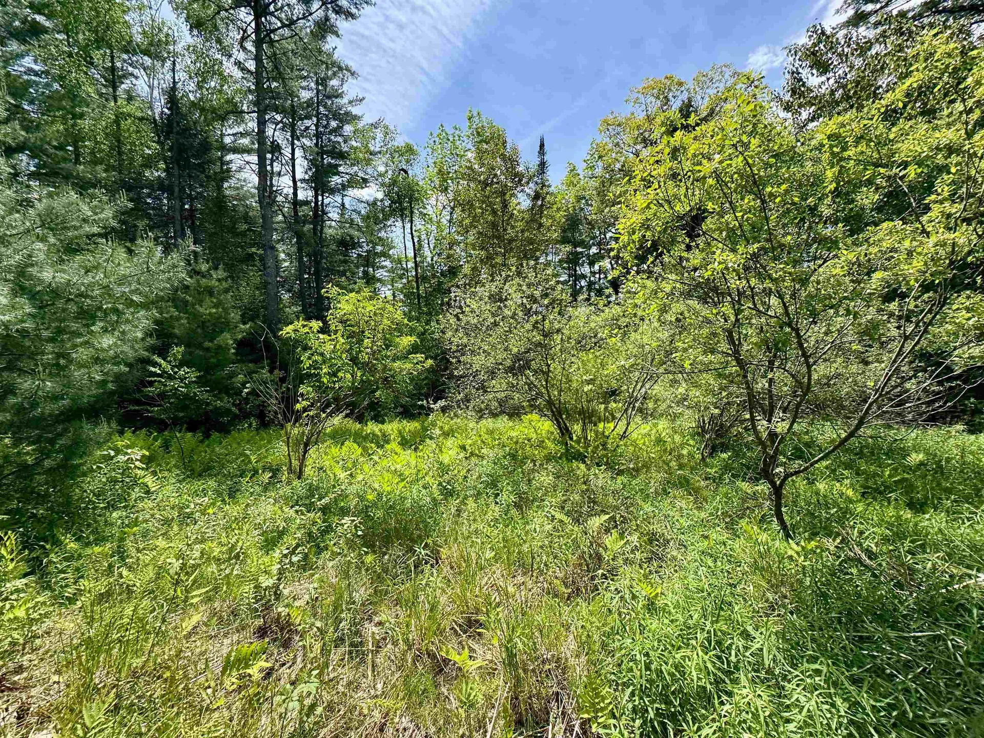 00 Mink Hill Road Bradford VT 05033