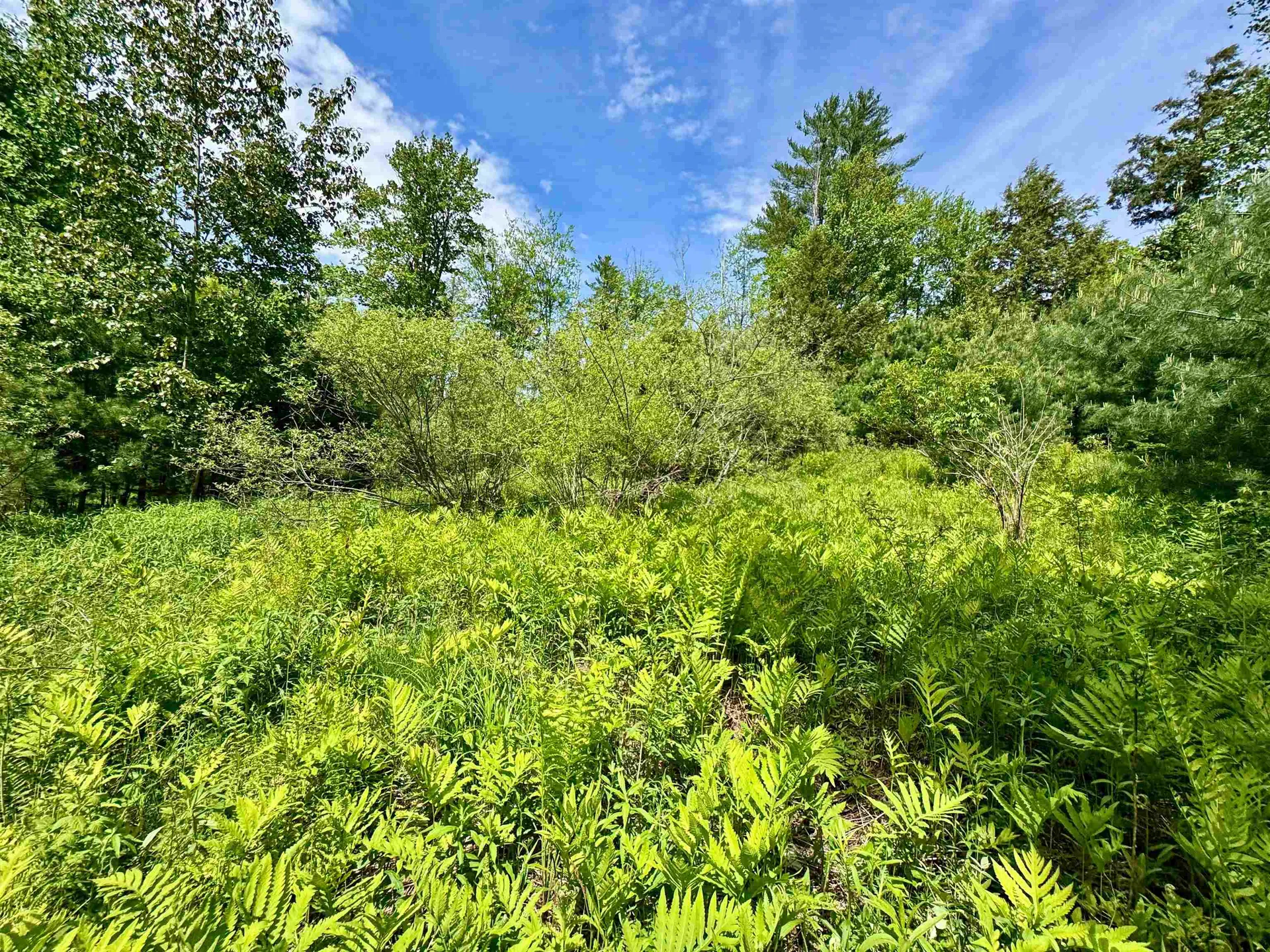 00 Mink Hill Road Bradford VT 05033