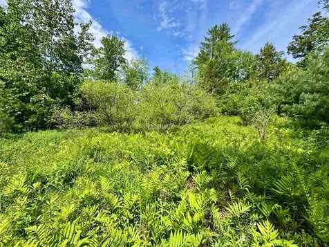 00 Mink Hill Road Bradford VT 05033