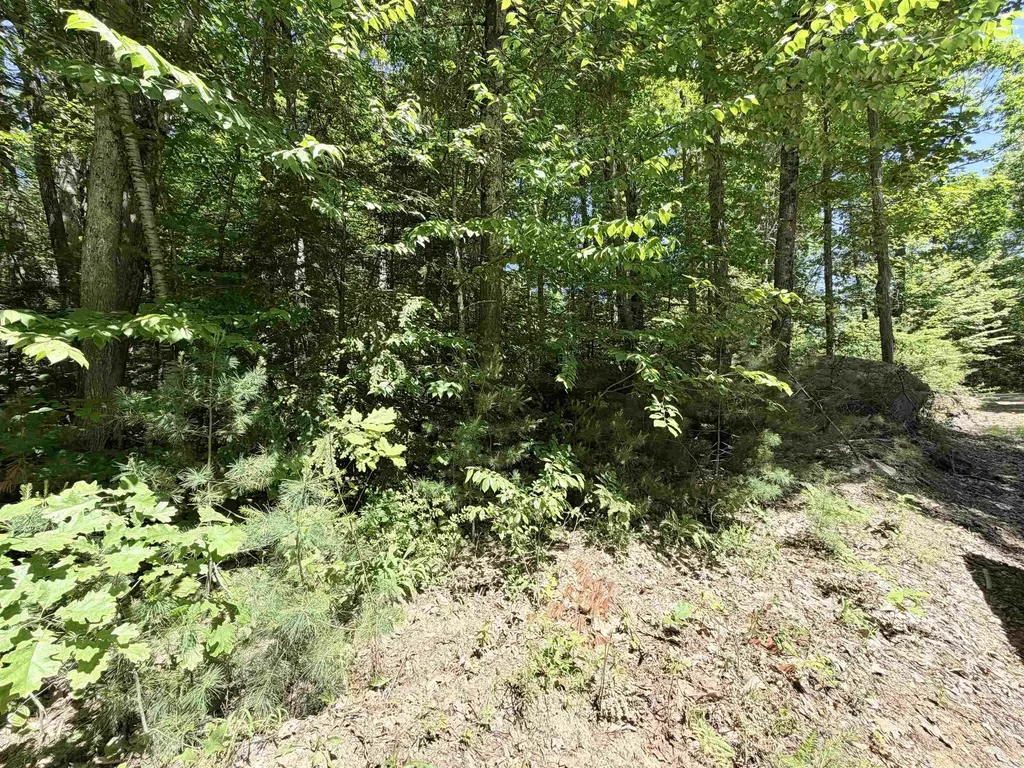 00 Long Shores Drive Barrington NH 03825