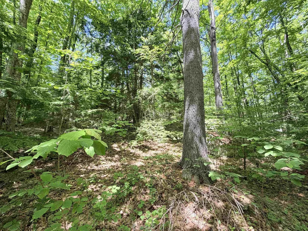 00 Long Shores Drive Barrington NH 03825