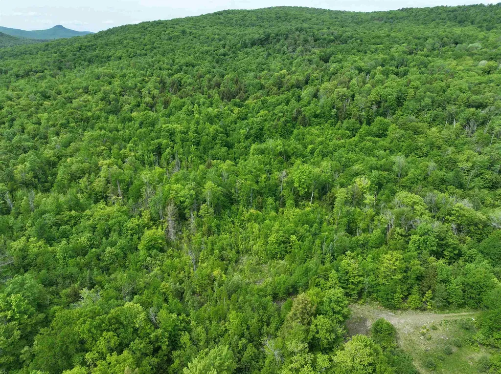 0 South County Road Groton VT 05046