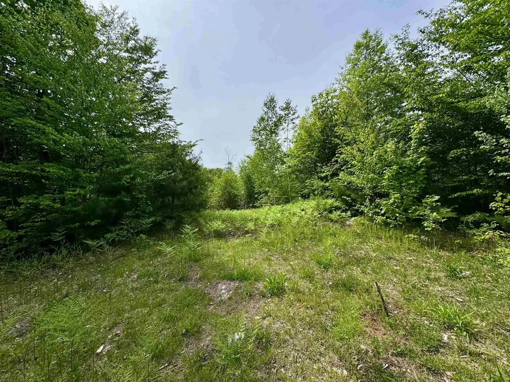 0 South County Road Groton VT 05046