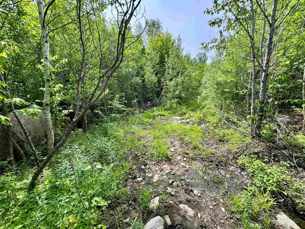 0 South County Road Groton VT 05046