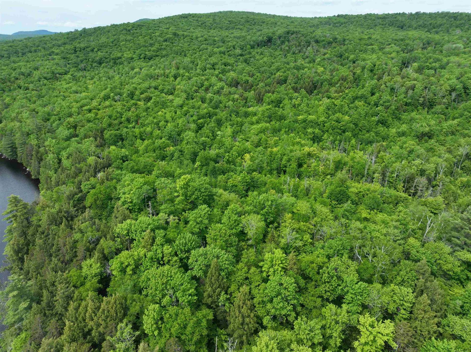 0 South County Road Groton VT 05046