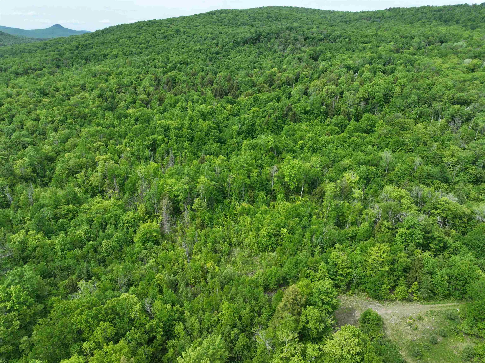 0 South County Road Groton VT 05046