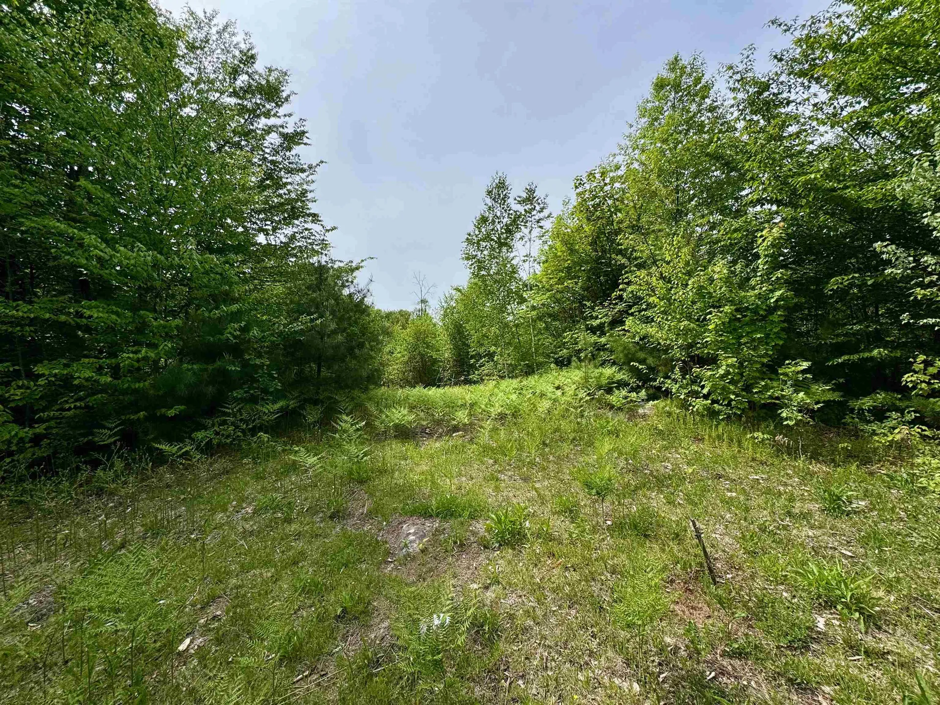 0 South County Road Groton VT 05046