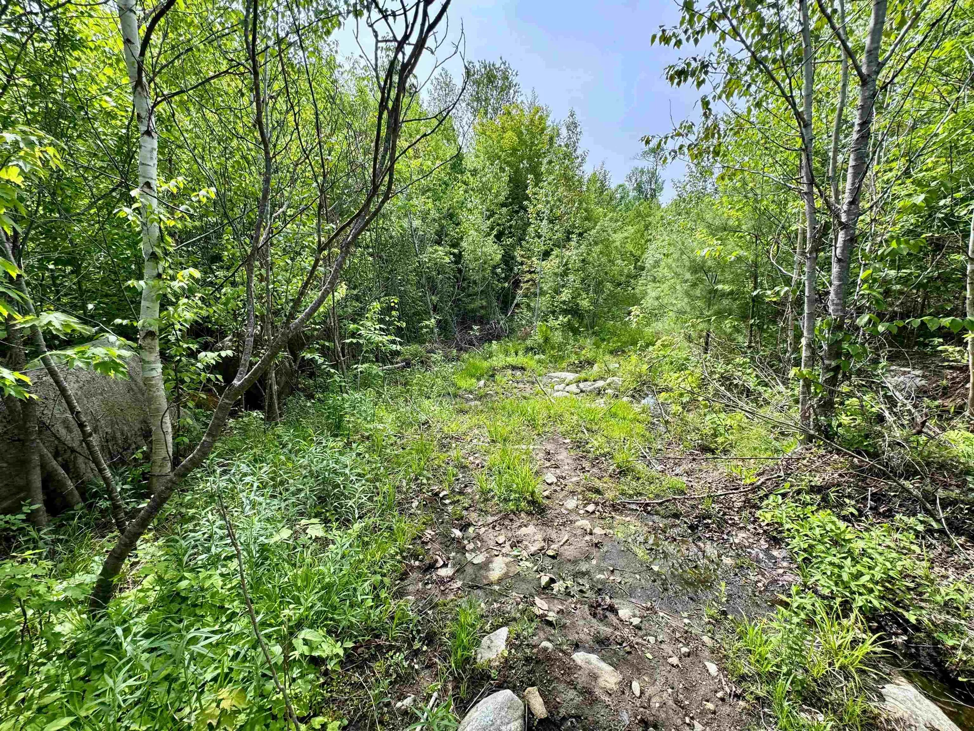 0 South County Road Groton VT 05046