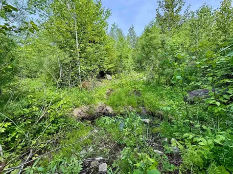 0 South County Road Groton VT 05046