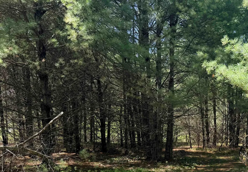 129 Pickard Road Canterbury NH 03224