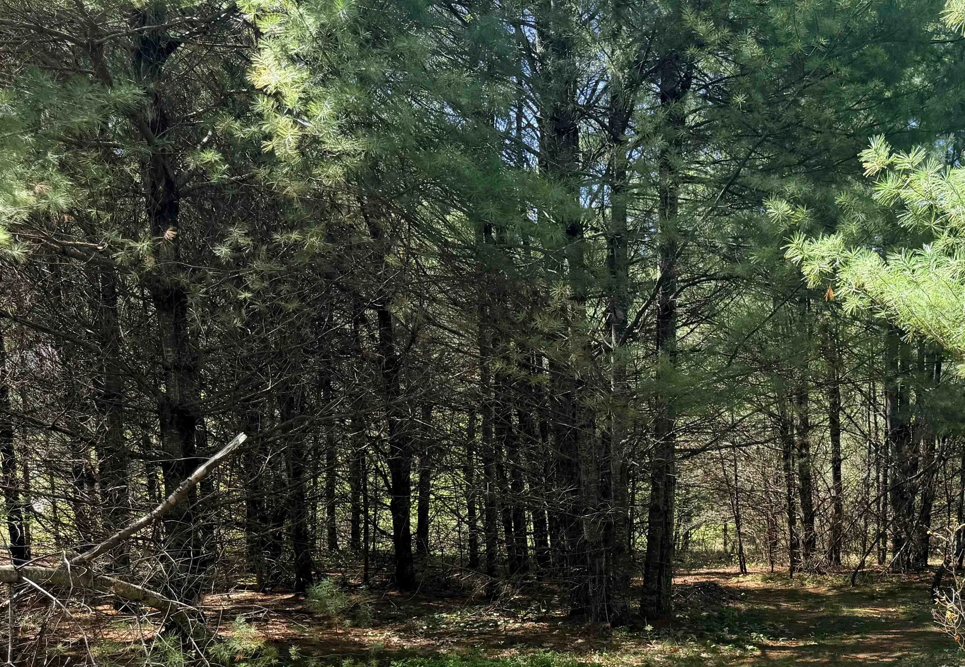 129 Pickard Road Canterbury NH 03224