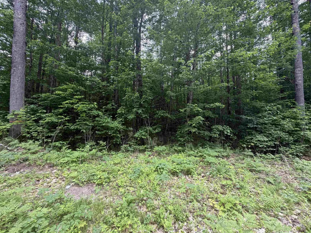 00 Rolling Ridge Road Bartlett NH 03812