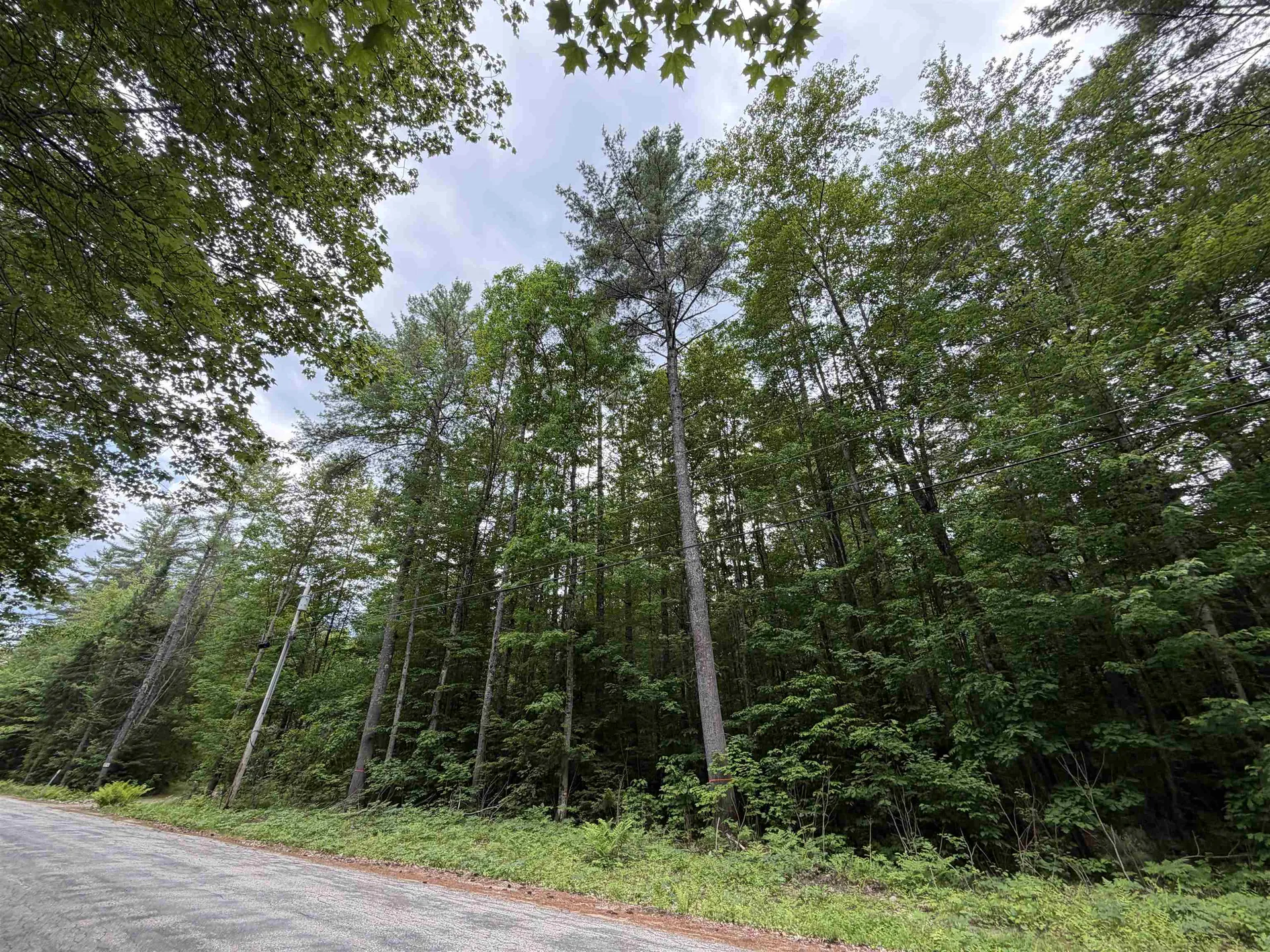 00 Rolling Ridge Road Bartlett NH 03812