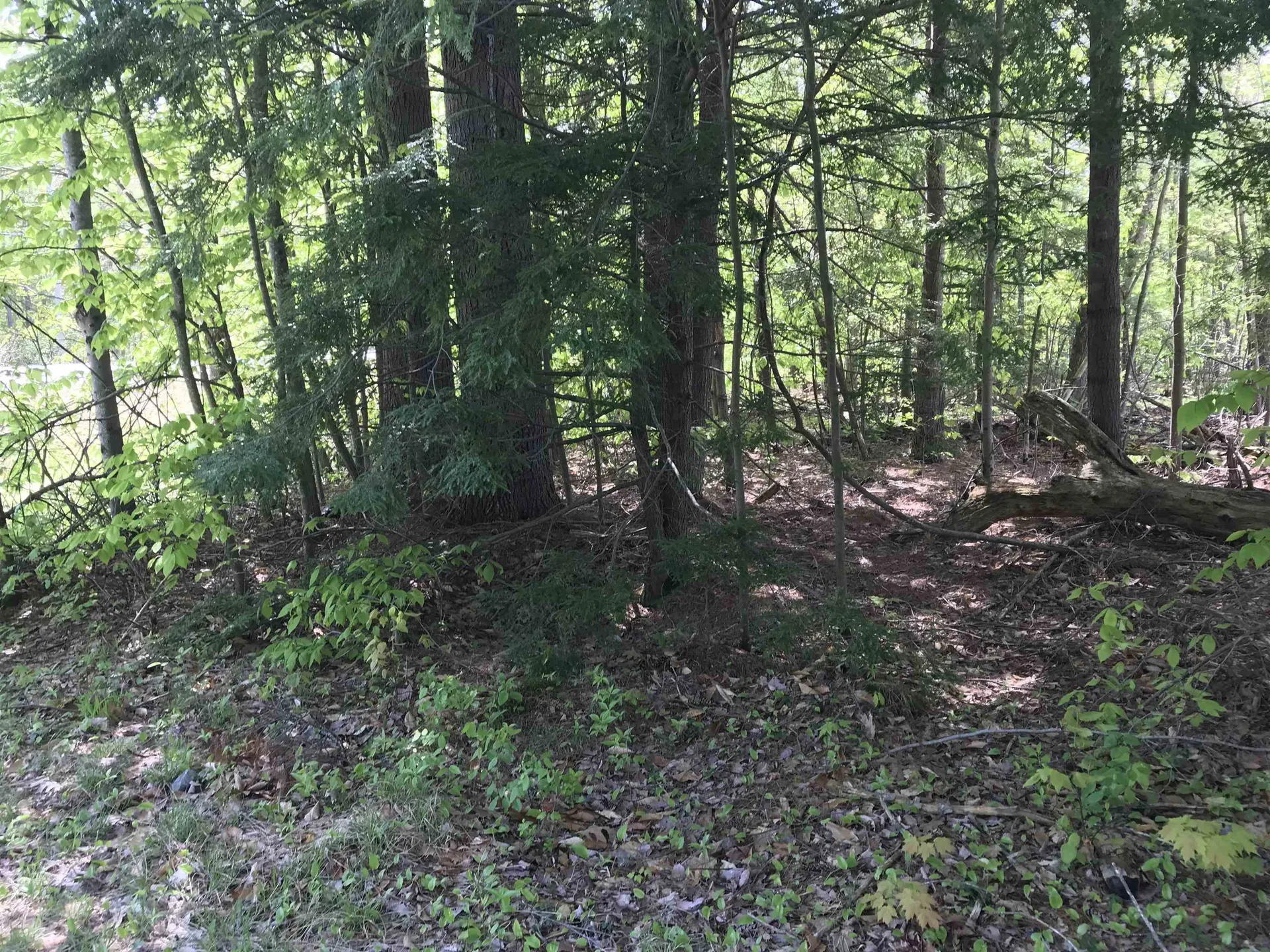420-11 Route 9 Highway Stoddard NH 03464
