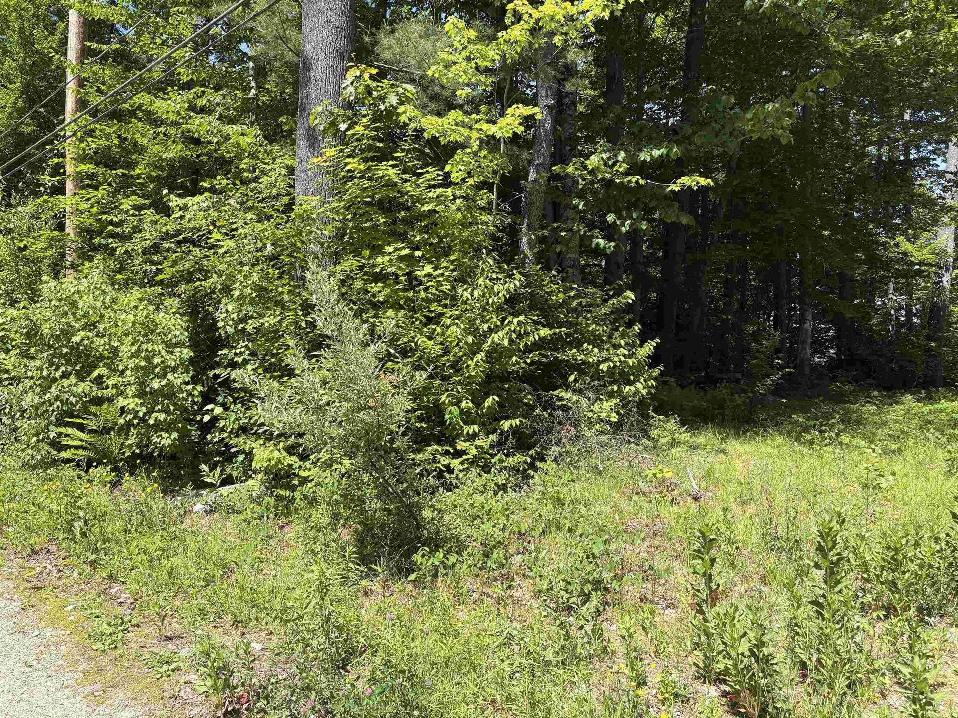 Lot 608 Rabbit Path Hillsborough NH 03244