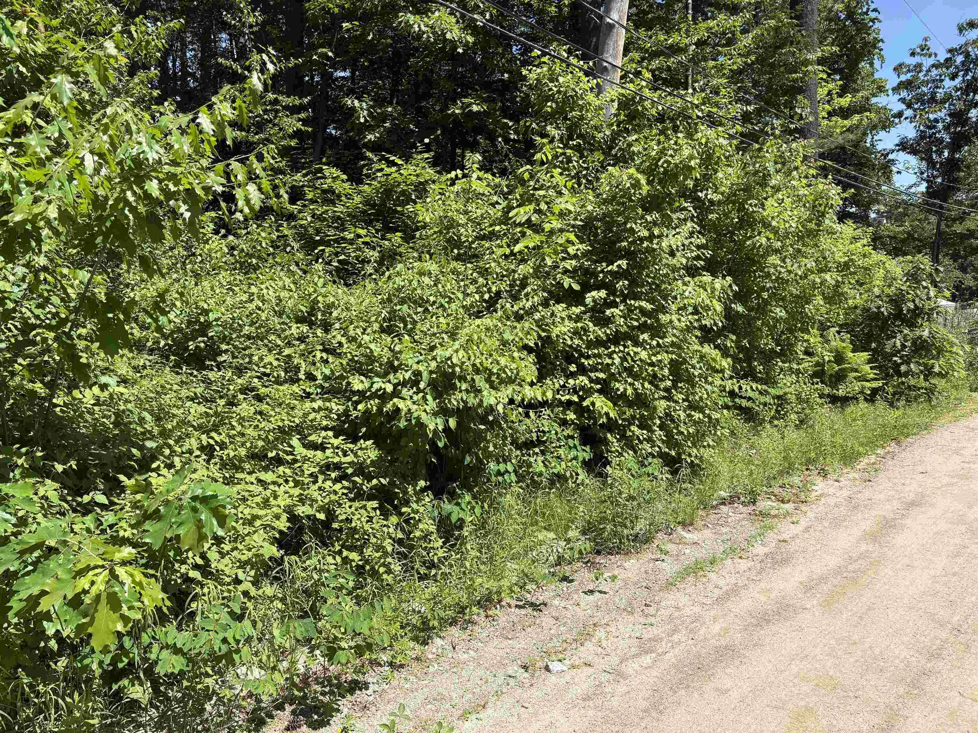 Lot 608 Rabbit Path Hillsborough NH 03244