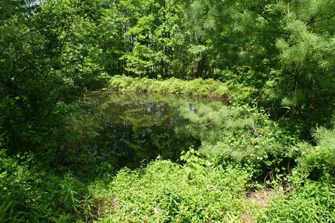 28 Island Road Deerfield NH 03037