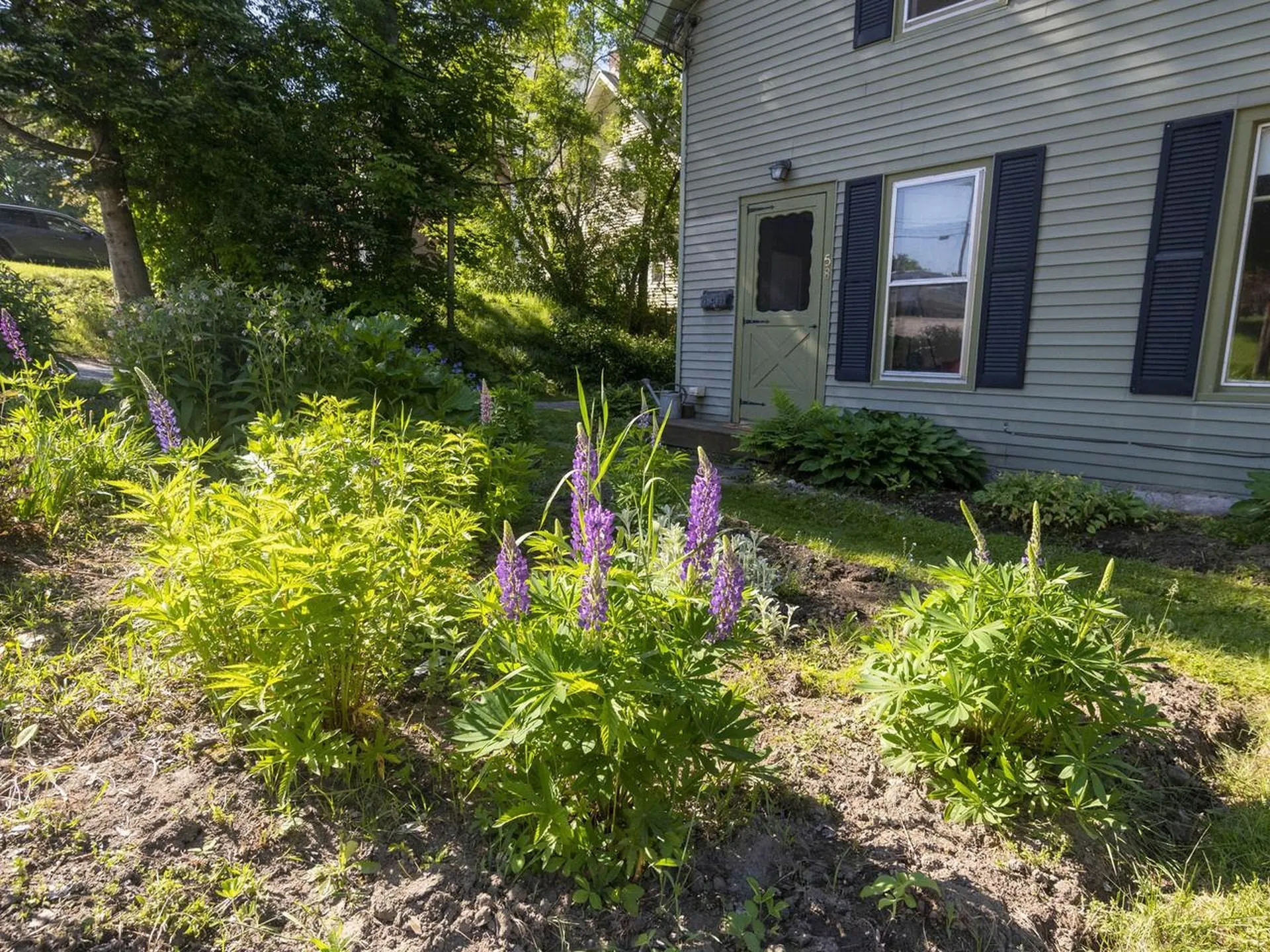 58 Ridge Street Montpelier VT 05602