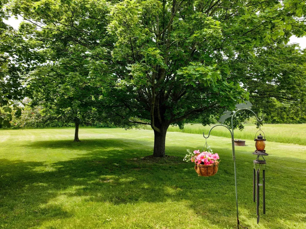 104 Jersey Street Addison VT 05491