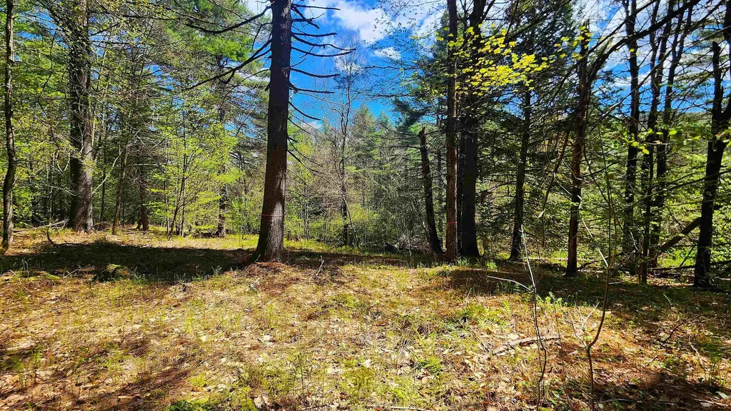 0 Linden Way Chester VT 05143