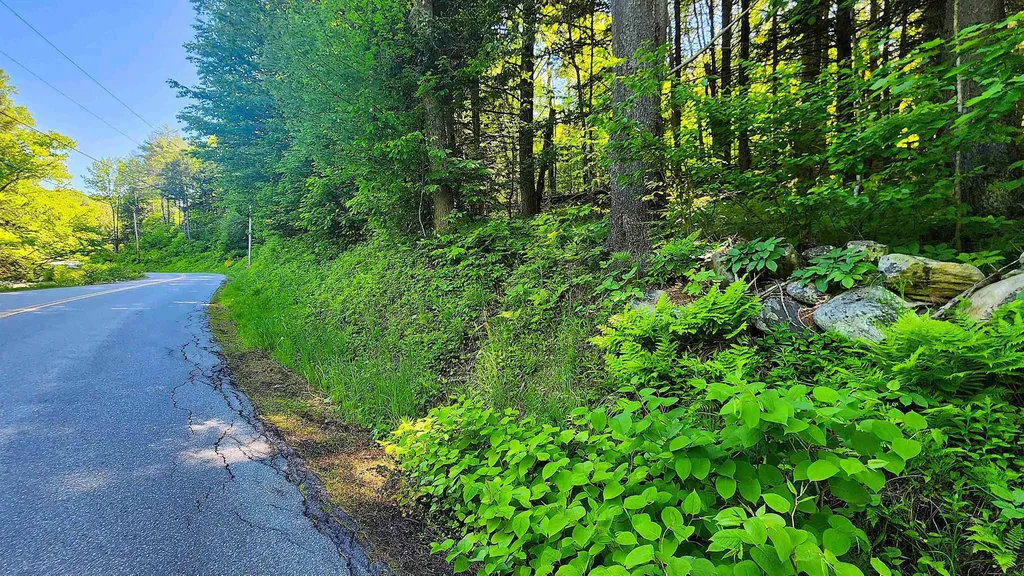 0 Linden Way Chester VT 05143
