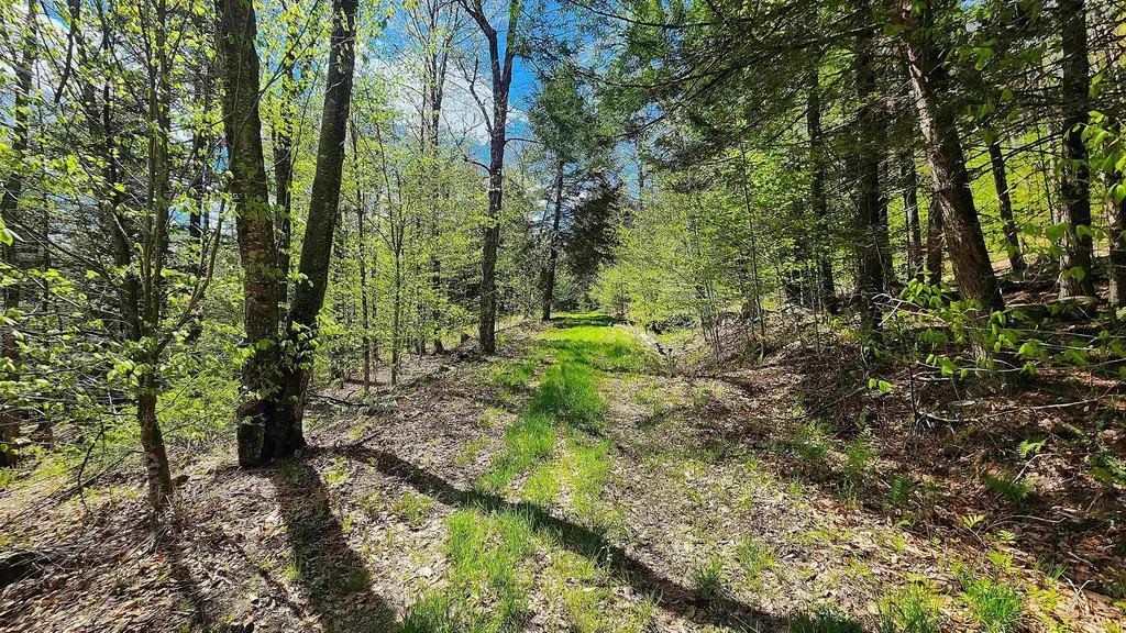 0 Linden Way Chester VT 05143