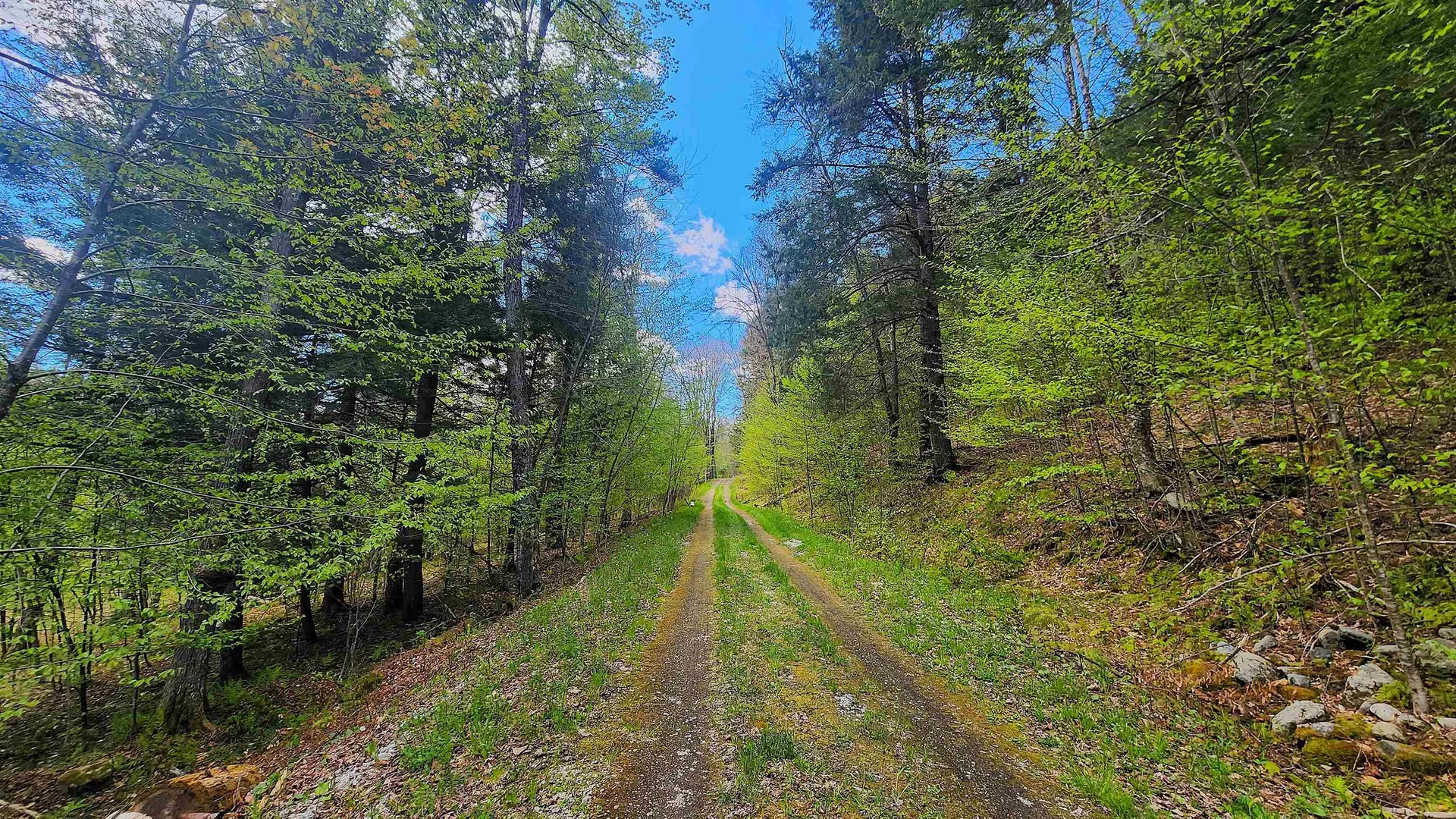 0 Linden Way Chester VT 05143