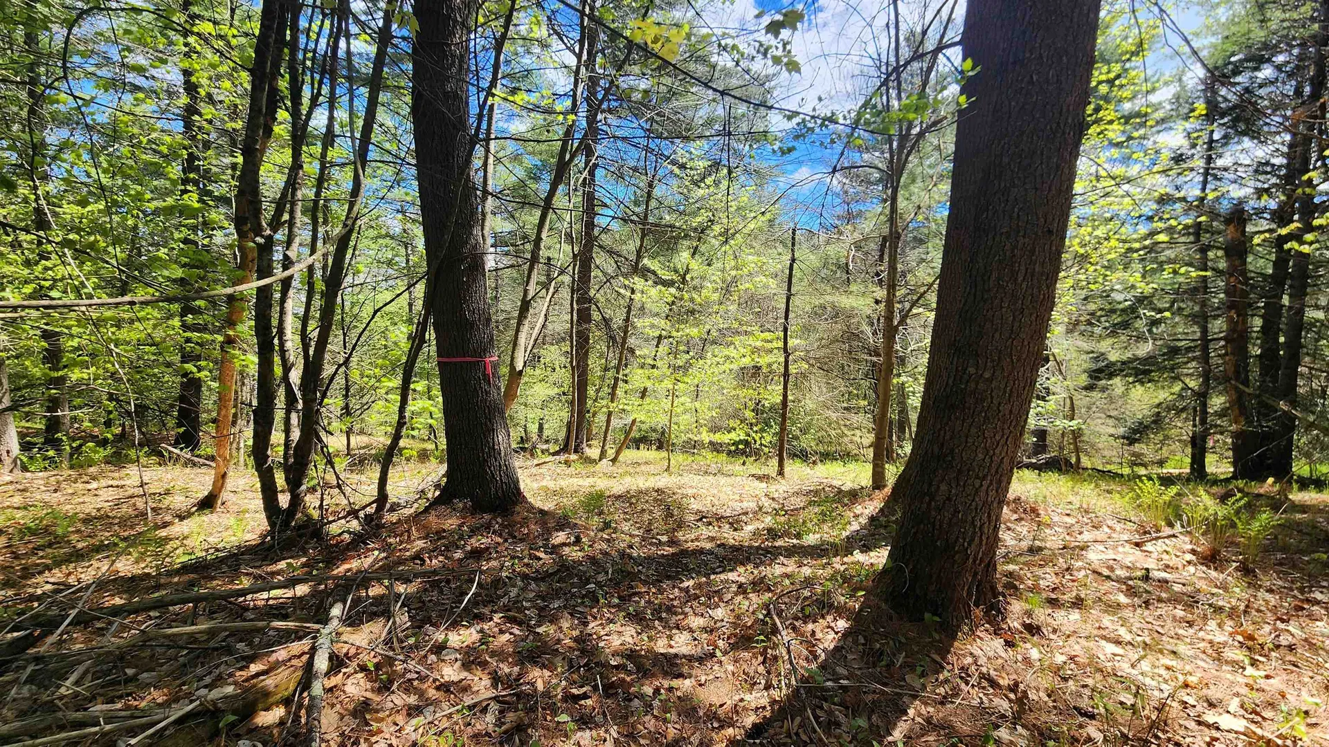 0 Linden Way Chester VT 05143