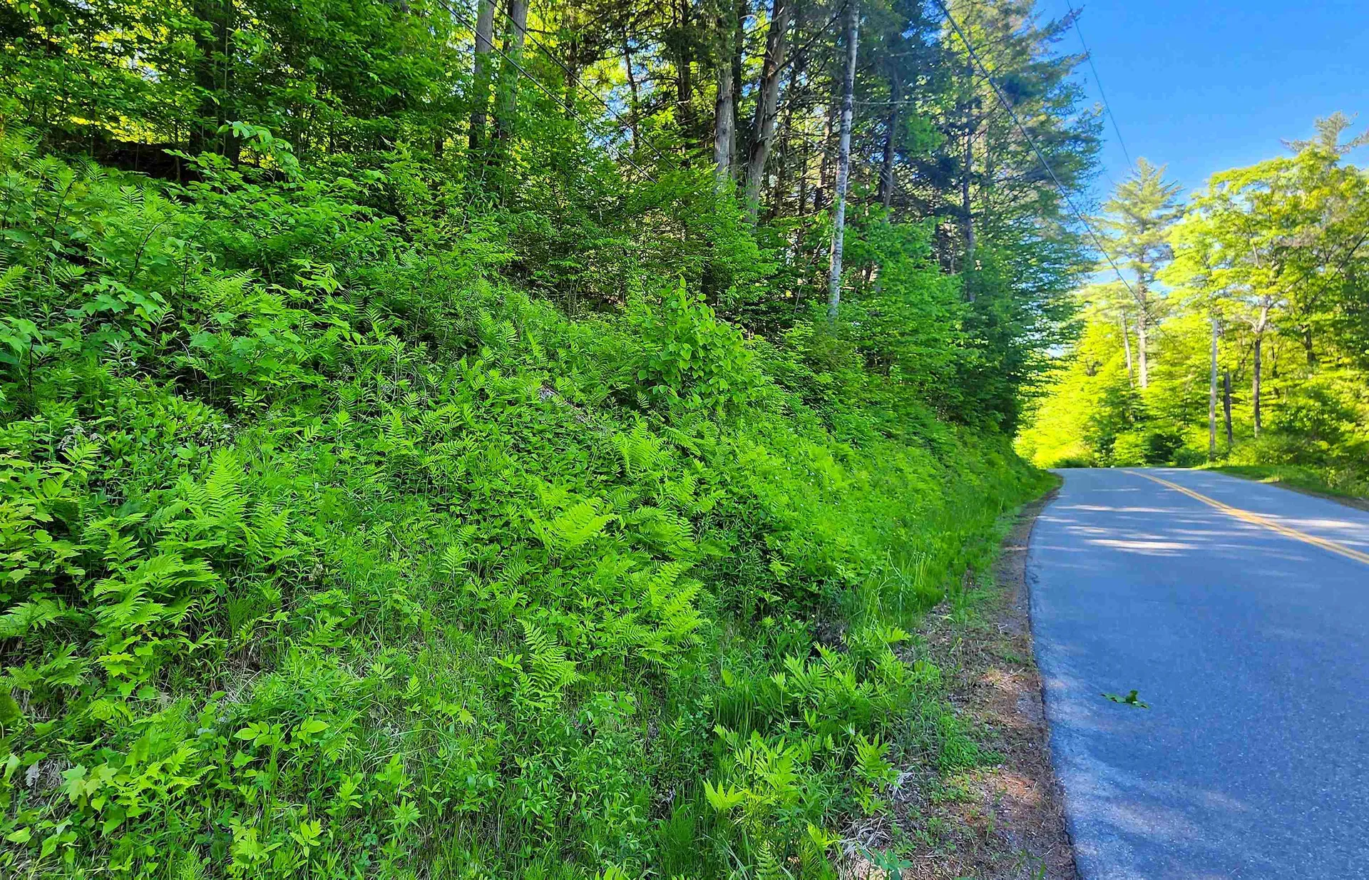 0 Linden Way Chester VT 05143