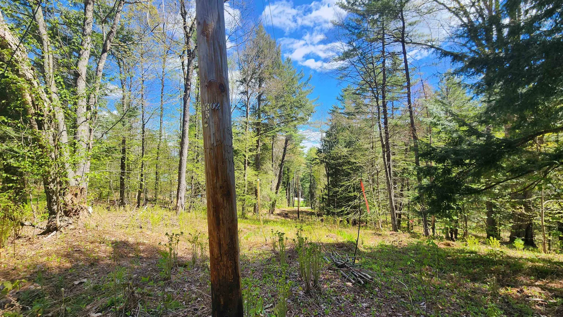 0 Linden Way Chester VT 05143
